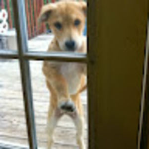 Meet your Posher, Alanna